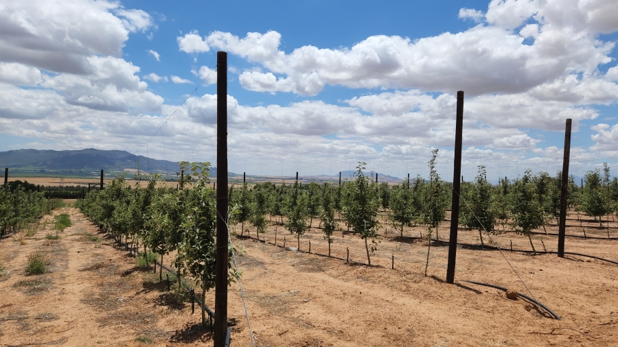 Commercial Property for Sale in Paarl Rural Western Cape